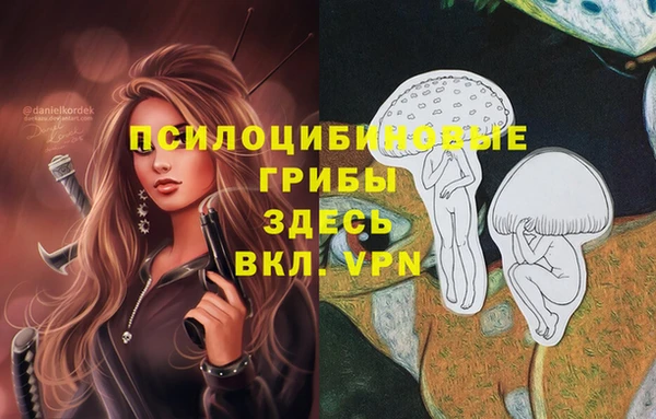 винт Абинск